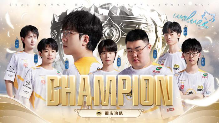 网球爱好者